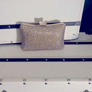 Crystal studded mini bag for grand occasions.